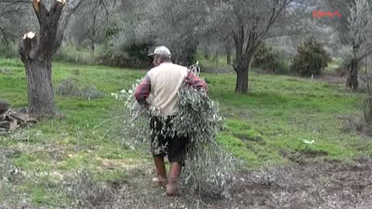 Hayvanlarını Ölüme Terkediyorlar İddiası