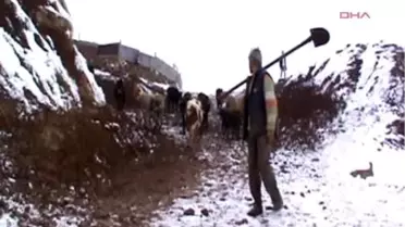 Muş ) Buzu Kırıp Hayvanlara Su İçiriyorlar