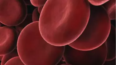 Ciltte Gençlik İçin 'Kandan İksir' Yapıyorlar