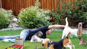 Champıon, Sevimli Dostlarınızı da Unutmuyor