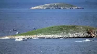 Yunan Sahil Güvenlik Botu, Türk Kara Sularına Girdi