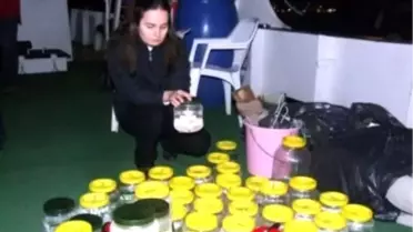 Marmaris Körfezi İnceleniyor