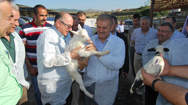 Özer Türer Merkez Birliği Başkanlığına Aday