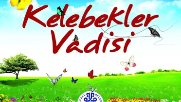 Türkiye'nin İlk Kelebekler Vadisi Konya'da Yapılıyor