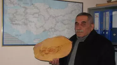 Ağaçtan Kıbrıs Haritası Çıktı