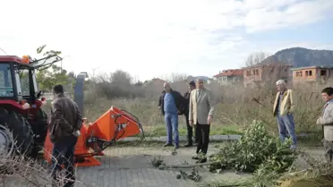 Dalyan'da Dal Budak Gübre Oluyor