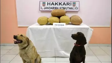 Hakkari'de 2 Kilo Eroin, 45 Kilo Esrar Ele Geçirildi