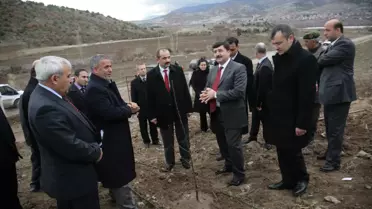 Amasya Elmasının Kaderini Değiştirecek Fidanlar Toprakla Buluştu