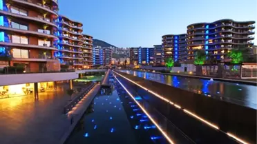 Yeni Sahiplerini Bekliyor