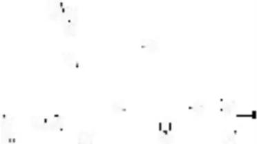 'Dumankaya Ritim İstanbul', Şehrin Ritmini Arttırmaya Hazırlanıyor!