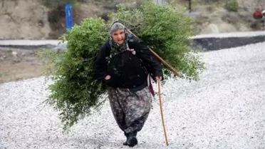 Güllü Ninenin Yaşam Savaşı