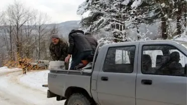 Yaban Hayvanları İçin Ormanlık Alana Yem Bırakıldı