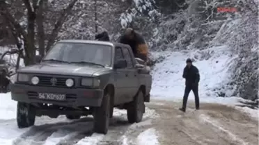 Yaban Hayvanları İçin Ormanlık Alana Yem Bırakıldı