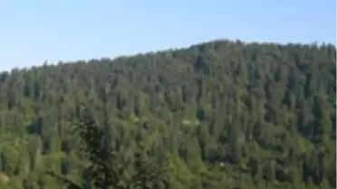 Sakarya'da 159 Yerleşim Yerinde Orman Sınırları Dışına Çıkarma Çalışması Yapılıyor