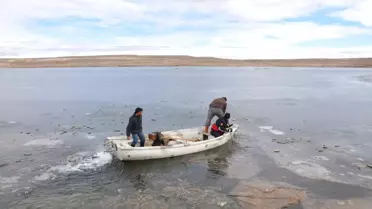 Yaralı Flamingoyu Kurtarma Operasyonu