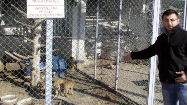 Eğirdir'de Belediyeye 'Barınakta Aç Bırakılan Köpekler Öldü' Tepkisi
