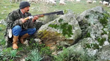 Söke'de Canavar Tedirginliği