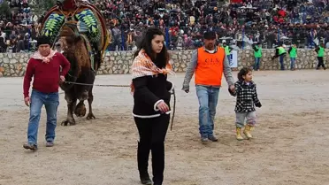 Bodrum'da Meydan Develere Kaldı