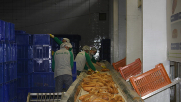 Üniversiteliler Kendi Ekmeğini Kendi Çıkaracak