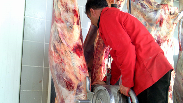 Kars'ta Et Balık Kurumu Hayvan Kesimlerine Başladı