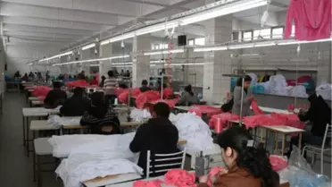 Saren'den İş Garantili Kurs