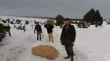 Altıntaşlı Avcılar Yaban Hayatı Unutmadı