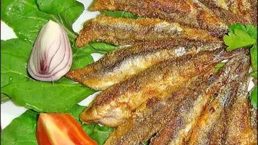 Hangi Balık Ne Zaman Yenir