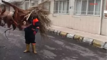İskenderun'da Fırtına Yaşamı Felç Etti
