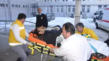 Yaraladığı Domuzun Saldırısına Uğrayan Avcı 2,5 Kilometre Sedyeyle Taşındı