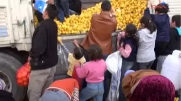 Bedava Limon İzdihamı