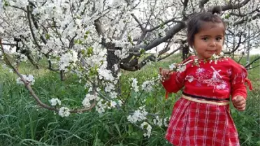 'Cemre Havaya Düşüyor, Bahar Başlıyor'
