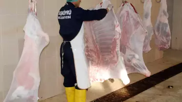 Taşköprü Belediyesi Mezbahası Et Filesi Uygulamasına Geçti