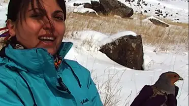 Kars'ta Yaralı Çil Keklikler İyleştirildikten Sonra Doğaya Bırakıldı