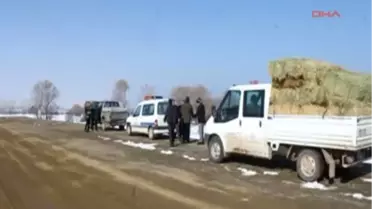 Aç Kalan Hayvanlar İçin Yem Bırakıldı