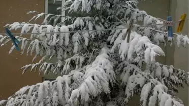 Değirmenin Tahliye Suyu Dondu