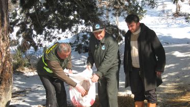 Tosya'da Yaban Hayvanları İçin Doğaya Yem Bırakıldı