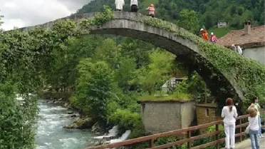 Danıştay'dan Rize ve Artvin'de Çevrecileri Sevindiren İki Karar