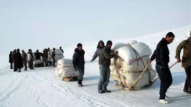 Hayvanların Yemlerini Buz Tutan Barajdan Taşıyorlar