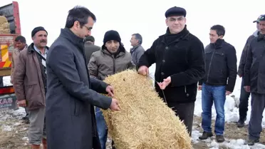 Karaman'da Yılkı Atları ve Yaban Hayvanlarına Yiyecek Bırakıldı
