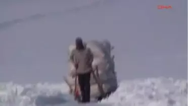 Hayvanlarının Yemini Ölümüne Taşıyorlar