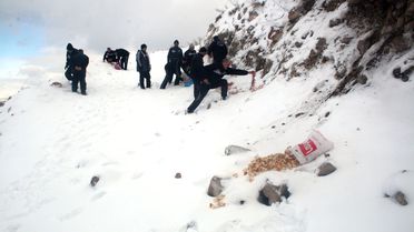 Kaplanlar Önce Yemleme Yaptı Sonra Paintball Oynadı