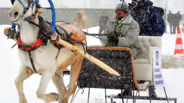 Tipide Festival Coşkusu