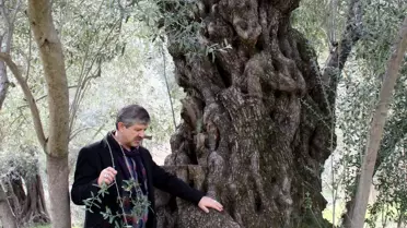 İlahiyatçılar da Gözünü Nazilli'ye Çevirdi