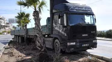Freni Boşalan Tır Refüje Çıkarak Durabildi