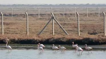 Prof. Dr. Sıkı İzmir Kuşcenneti'nde İmara Aykırı Yapılaşmaya Dikkat Çekti