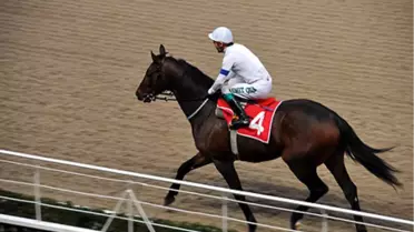 Başkanlık Kupası'nı Aydemirhan Kazandı