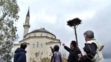 Leylekler Gelmeye Başladı, Kurbağalara Dikkat