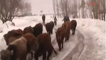 Güneş Duasına Çıktılar