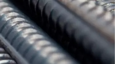 Hem Ekonomiye Hem Doğaya Katkı