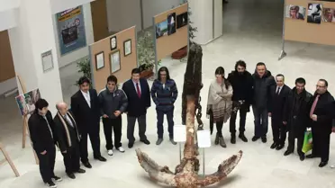 Zirve Üniversitesi, Ünlü Sanatçıları Ağırladı